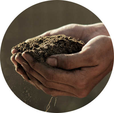 two hands clasped together holding soil