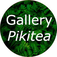 a stylised button with a fern leaf background