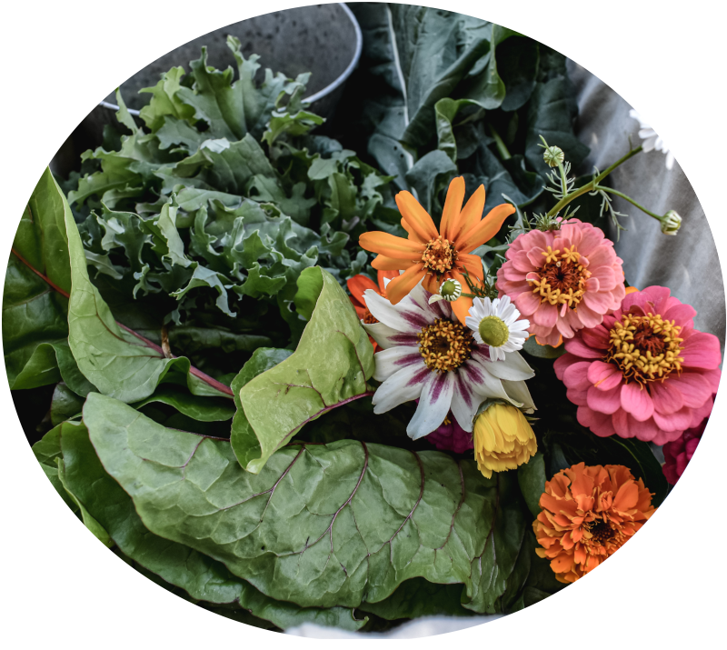 a bunch of fresh salad greens and edible flowers